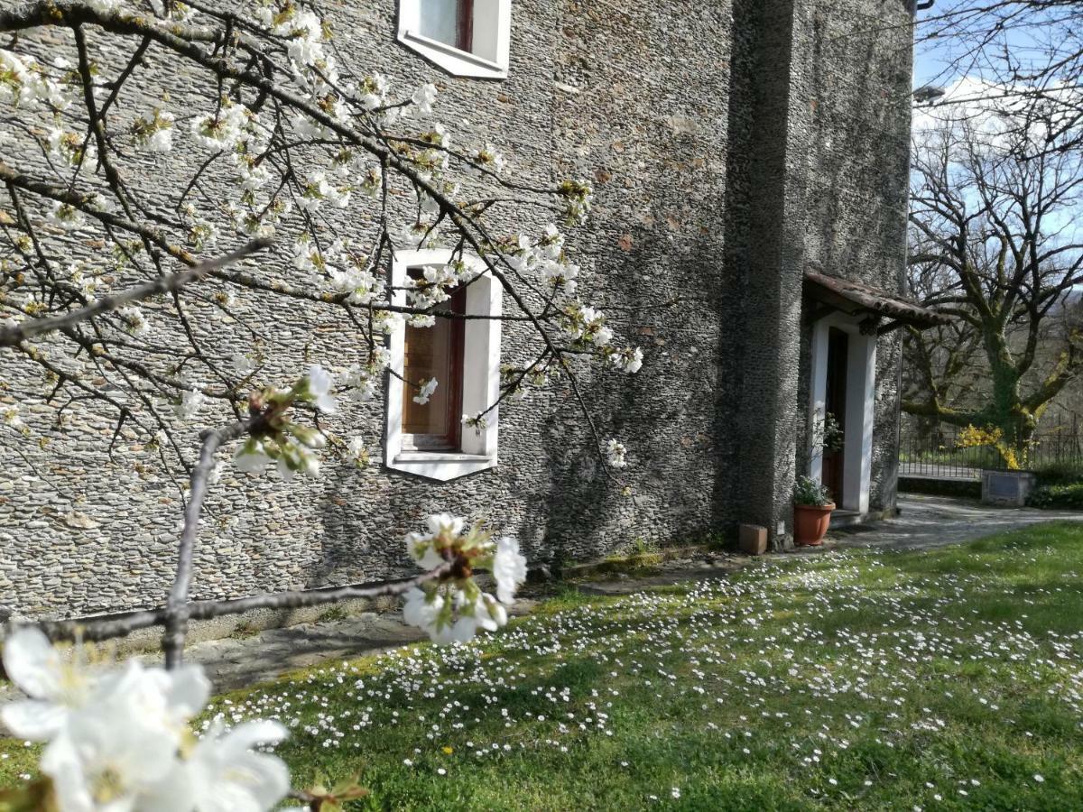 Casa Nel Verde Decollatura Kültér fotó