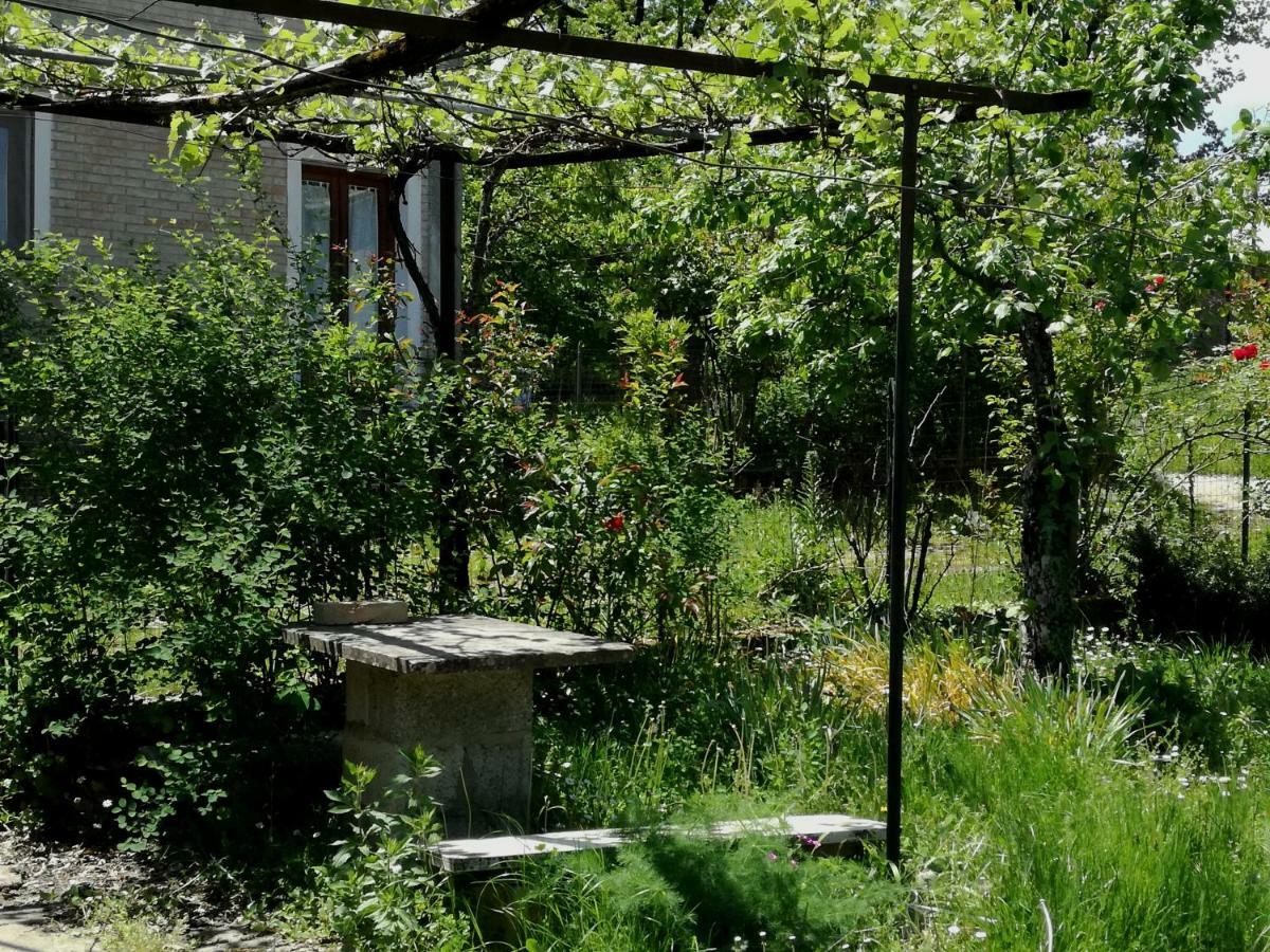 Casa Nel Verde Decollatura Kültér fotó