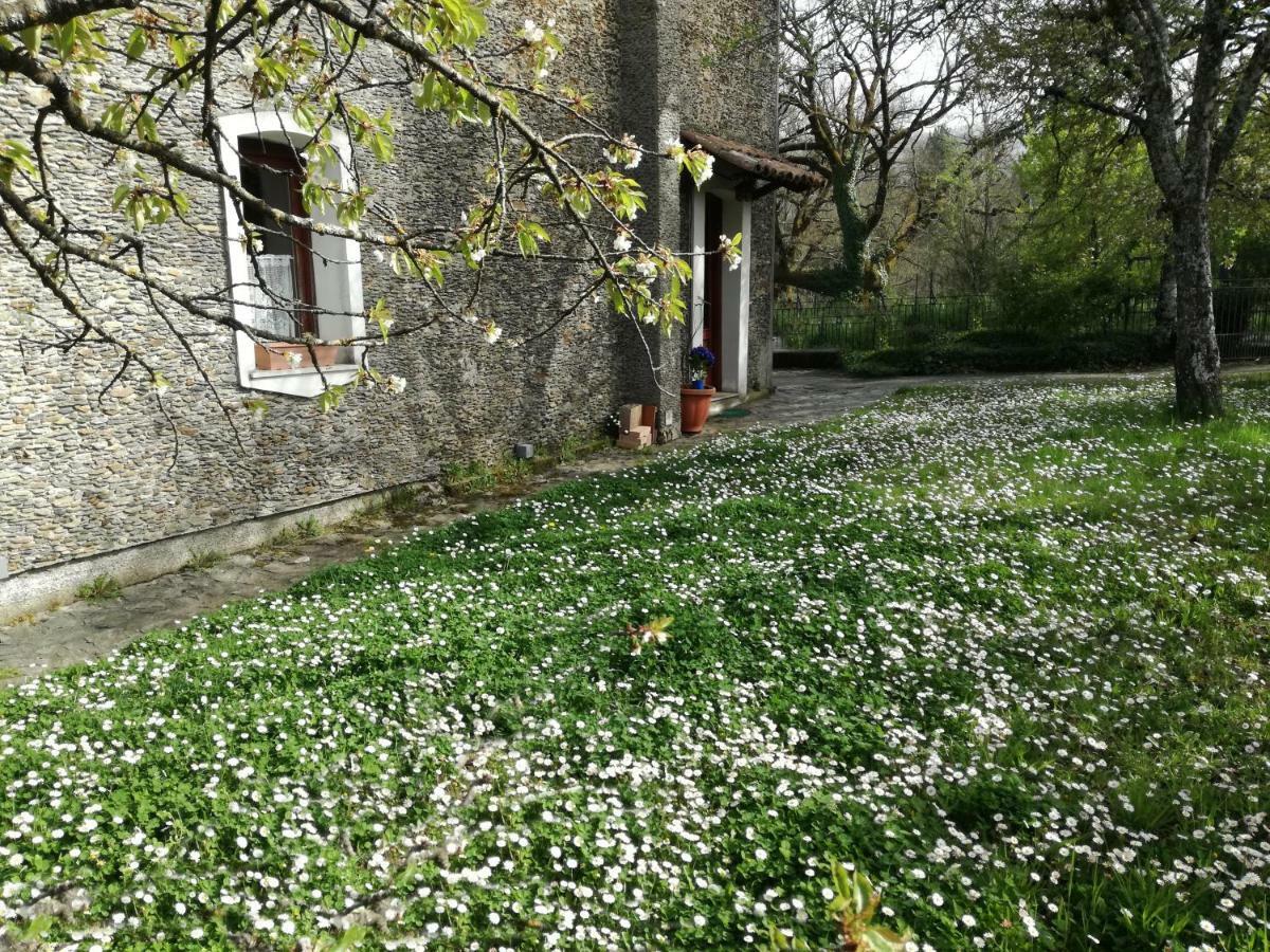 Casa Nel Verde Decollatura Kültér fotó